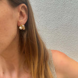 Fresh Water Pearl & Crystal Studs