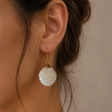 Shell Duo